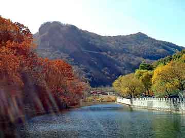 管家婆黑白马报图库，深圳建国男科医院